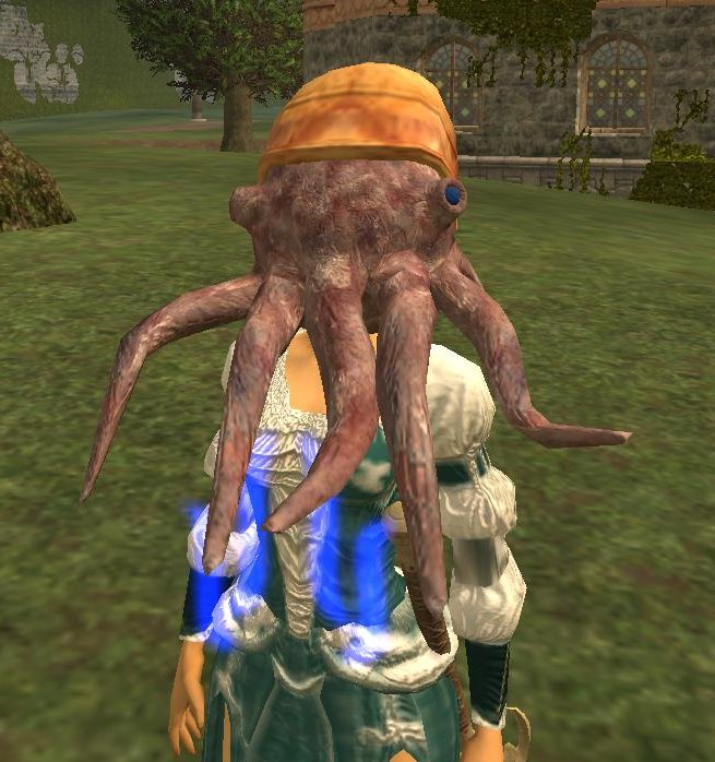 large reward~鸚鵡螺面具