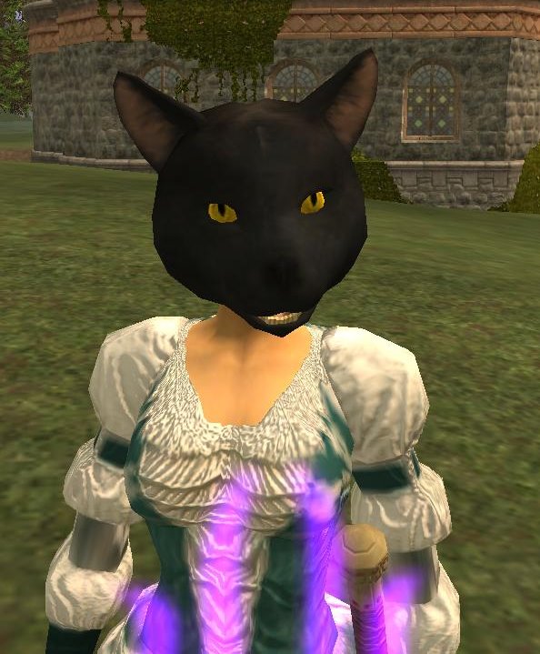 small reward~貓面具