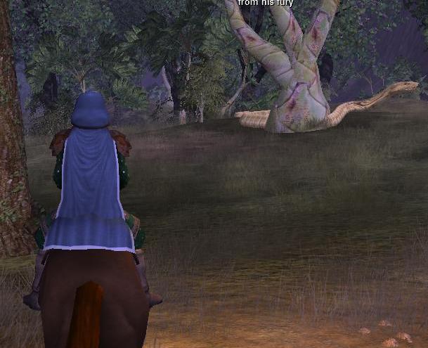 我的新造型,頭上的斗蓬看起來還真像X頭......orz
<br />重點在樹旁邊的大白蛇  ~~很大一隻~~~