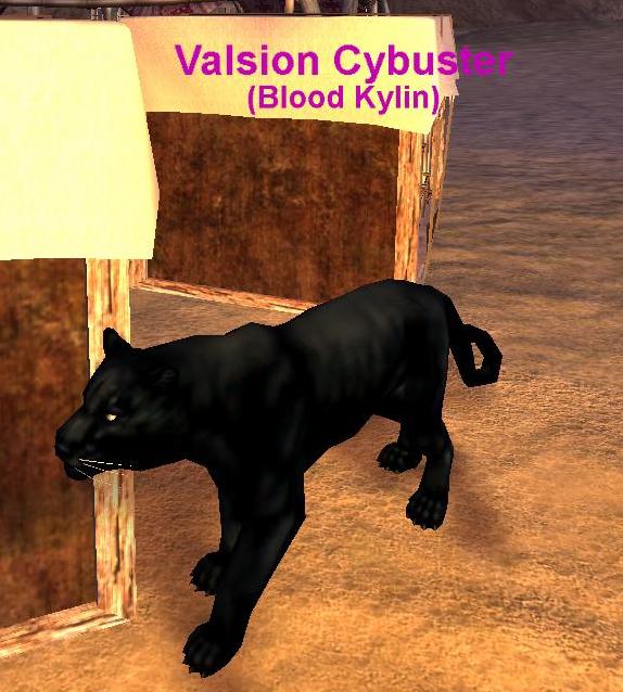 專屬DPS製造機,人類MONK,他也有再看這個版面,我還是別講太多,免的被K.....