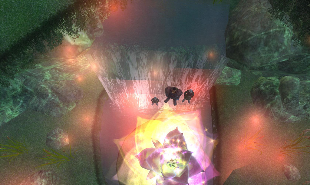 好漂亮的花 (CC 想把它搬回家種....)