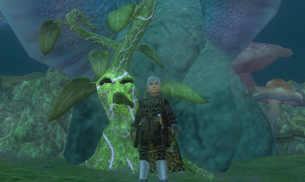 入口扮鬼臉的樹@@