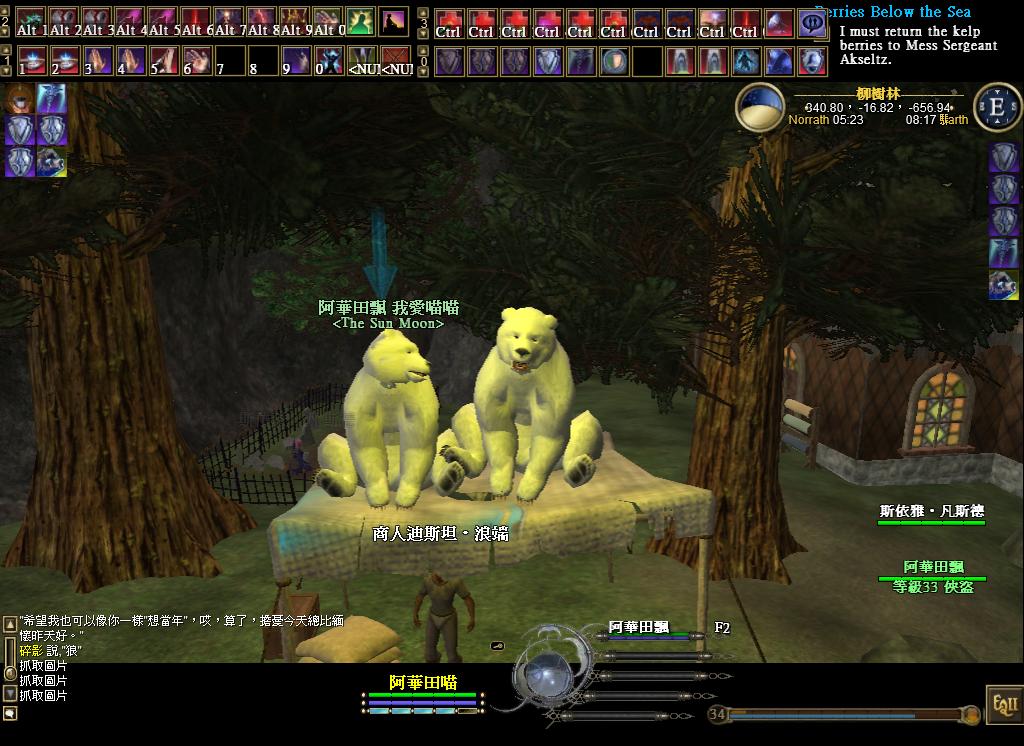 在柳樹林發呆的兩熊